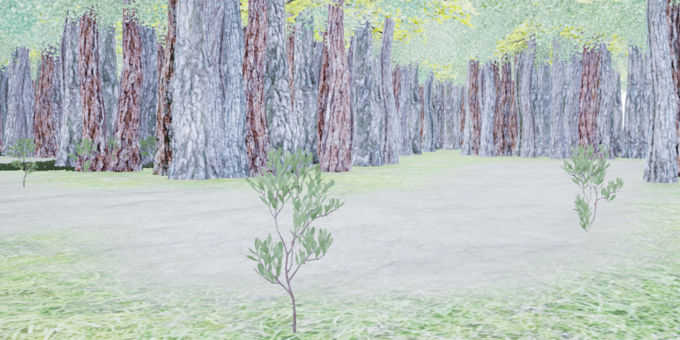 Preserved Forest 2.PNG